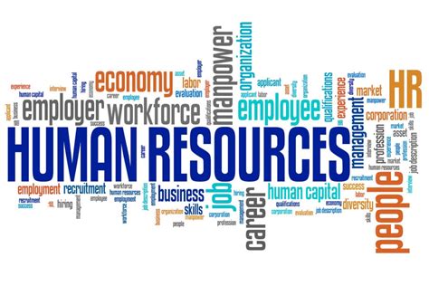 Human Resources jobs · The Wallich.